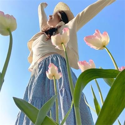 苹果村的苹果事儿